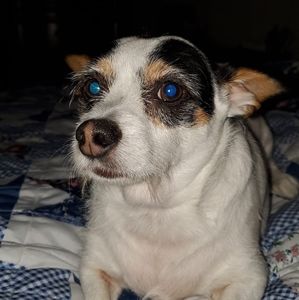 Meet your Posher, Lorenzo